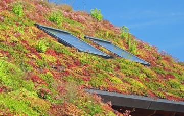 Cuckoos Corner living roof systems